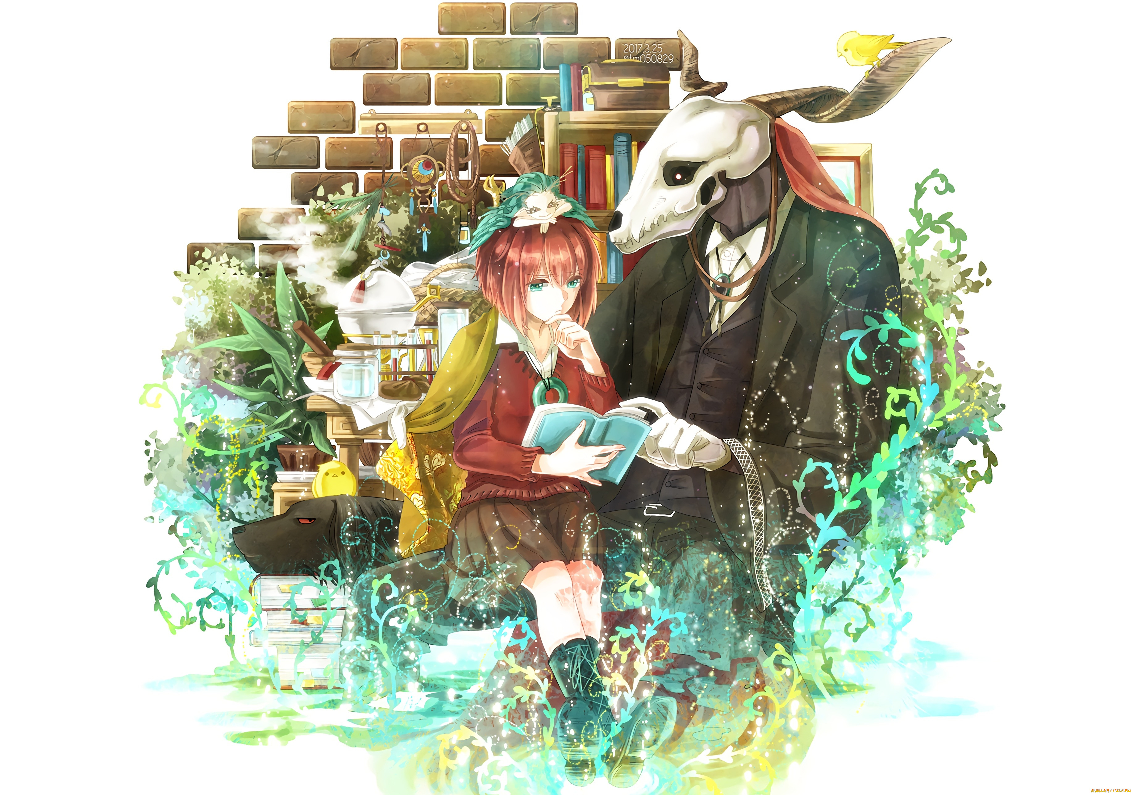 , mahou tsukai no yome, , 